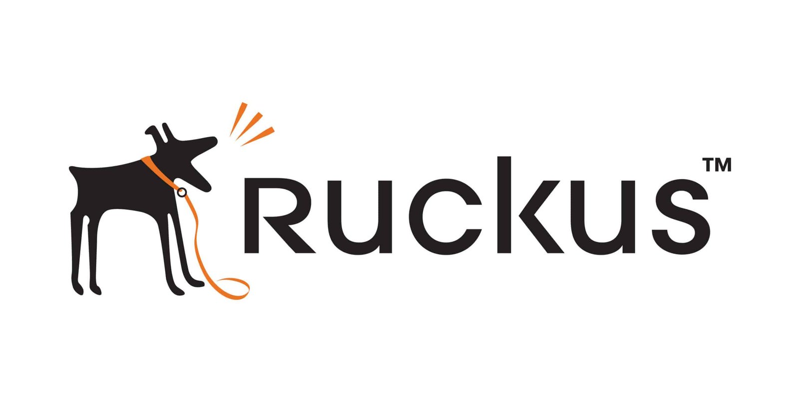 Ruckus Wireless Logo. (PRNewsFoto/Ruckus Wireless(R))